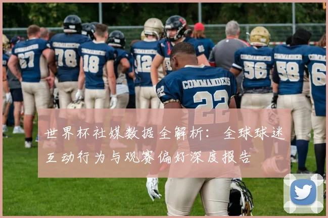 世界杯社媒数据全解析：全球球迷互动行为与观赛偏好深度报告