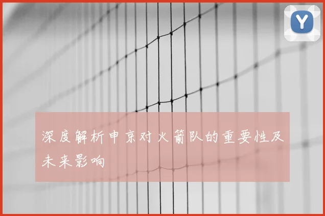 深度解析申京对火箭队的重要性及未来影响